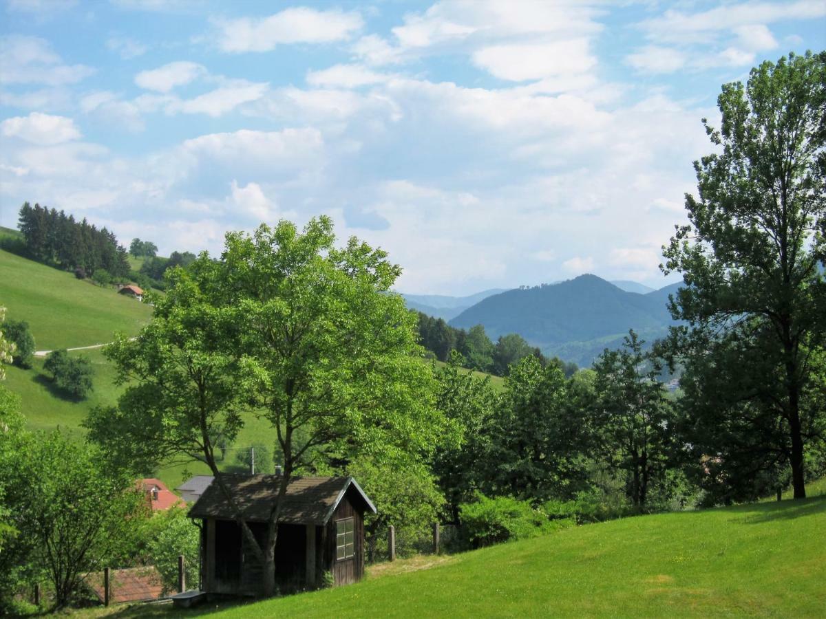 Ambiente * Waidhofen an der Ybbs